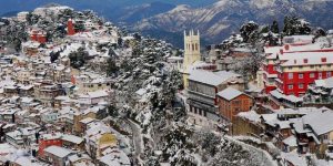 shimla tour package - shimla tour packages - shimla tour